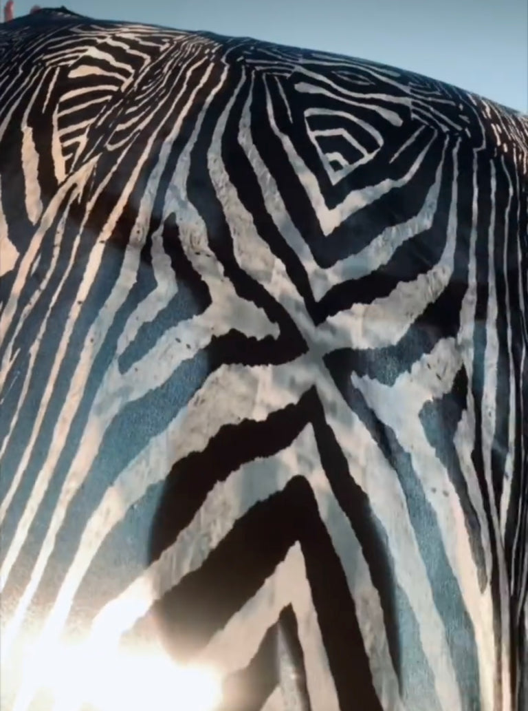 Silk Scarf in Moray Print