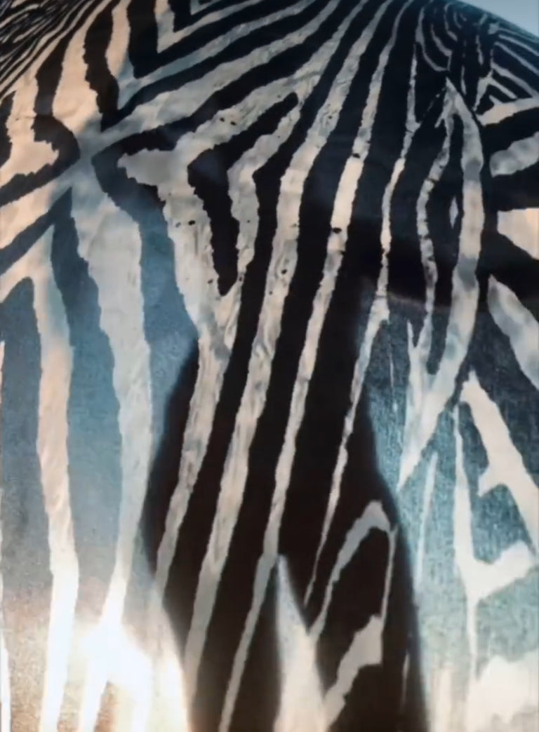 Silk Scarf in Moray Print