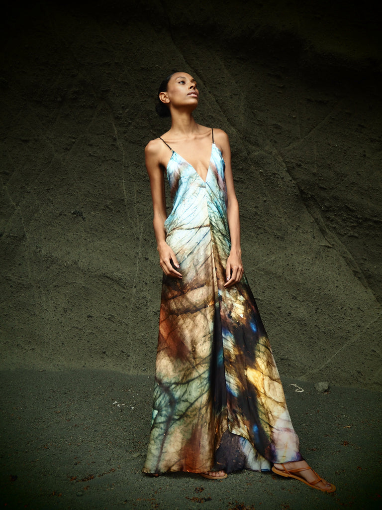 Xarracca Dress in Indra Print