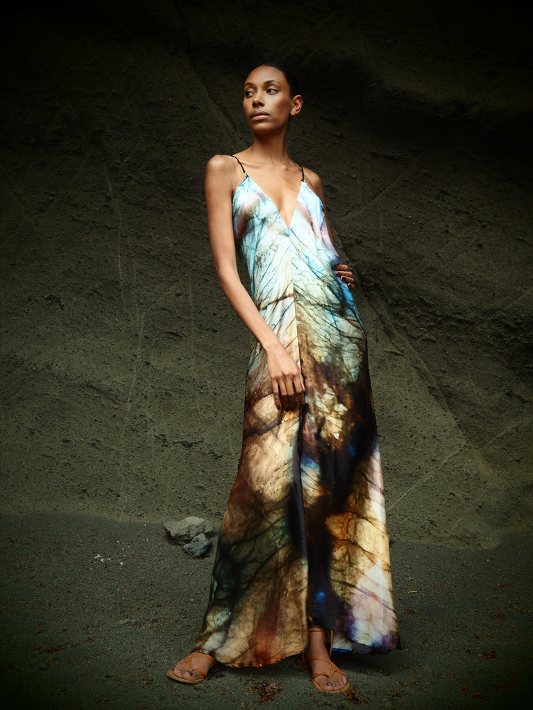 Xarracca Dress in Indra Print