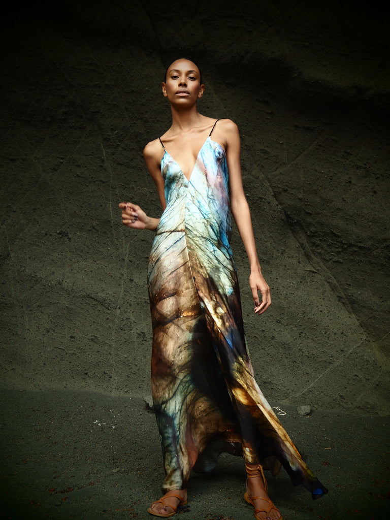 Xarracca Dress in Indra Print