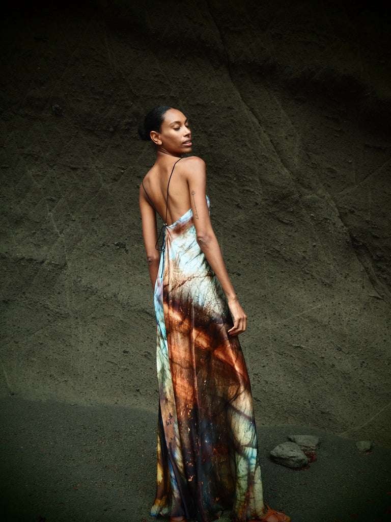 Xarracca Dress in Indra Print