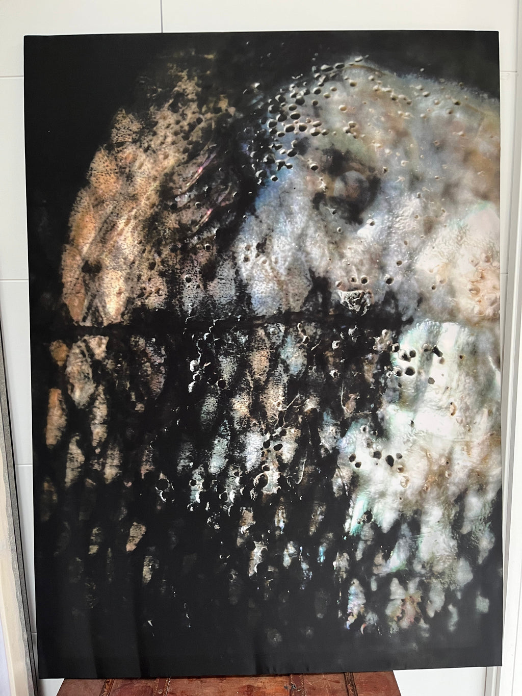 Silk Art in Tsézhin Print