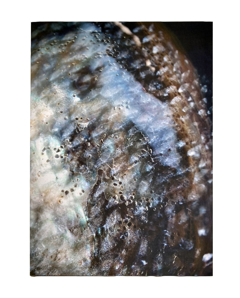 Silk Art in Ishtar Print