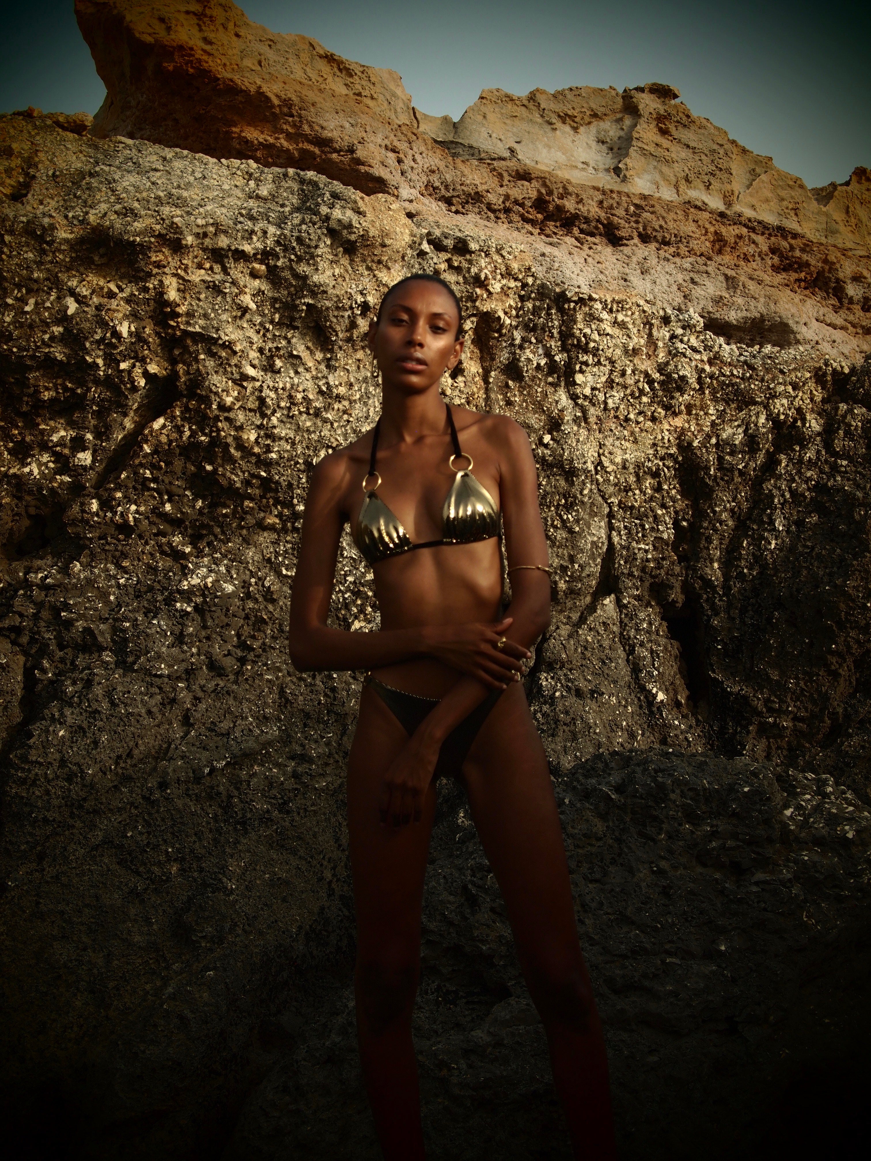 Gold Metallic - Cher Bikini